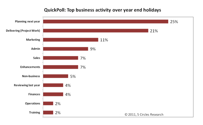 Top Holiday Business Activities: 2010 year end